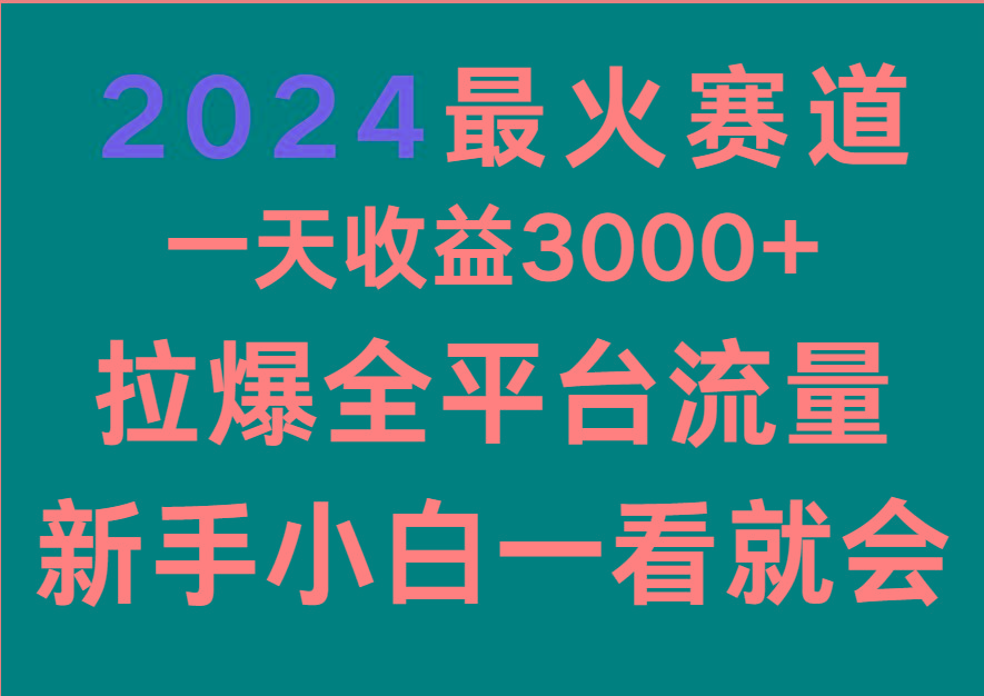2024最火赛道，一天收一3000+.拉爆全平台流量，新手小白一看就会-511资料网