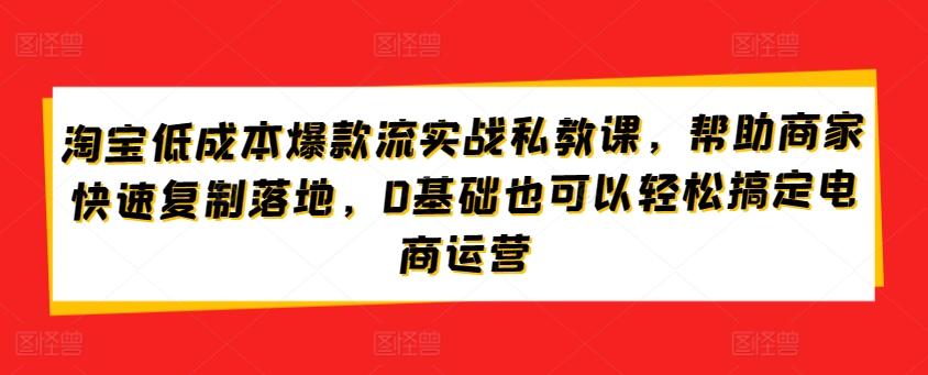 淘宝低成本爆款流实战私教课，帮助商家快速复制落地，0基础也可以轻松搞定电商运营-511资料网