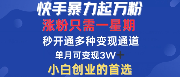 快手暴力起万粉，涨粉只需一星期，多种变现模式，直接秒开万合，单月变现过W【揭秘】-511资料网