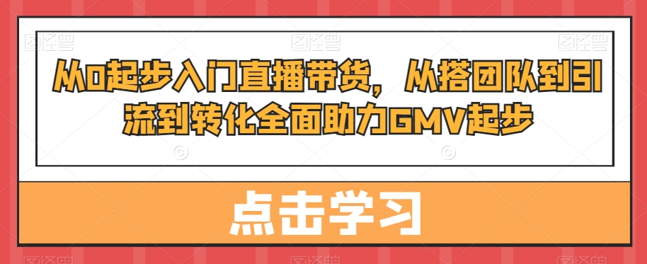 从0起步入门直播带货，​从搭团队到引流到转化全面助力GMV起步-511资料网