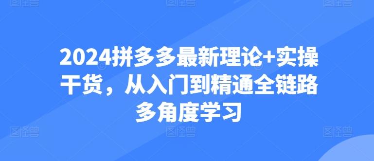2024拼多多最新理论+实操干货，从入门到精通全链路多角度学习-511资料网