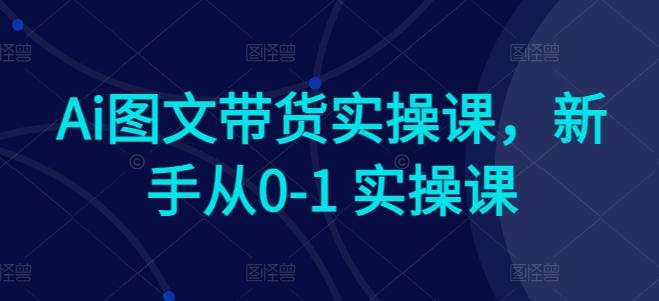 Ai图文带货实操课，新手从0-1 实操课-511资料网