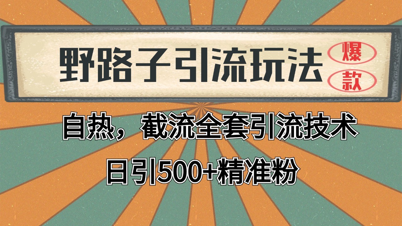 抖音小红书视频号全平台引流打法，全自动引流日引2000+精准客户-511资料网