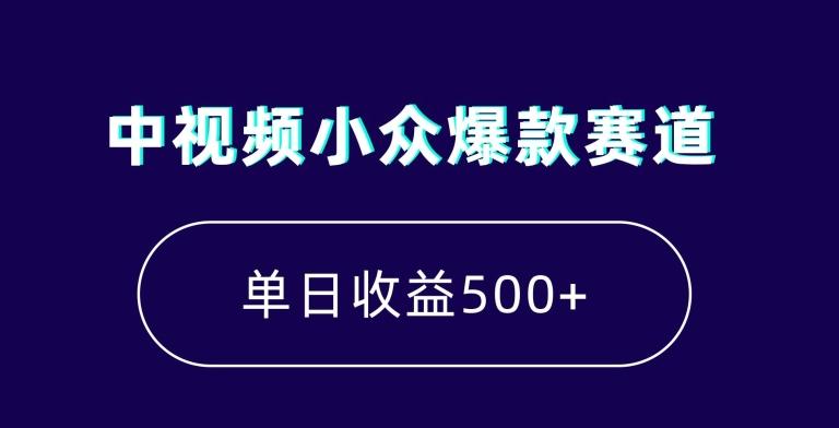 中视频小众爆款赛道，7天涨粉5万+，小白也能无脑操作，轻松月入上万【揭秘】-511资料网