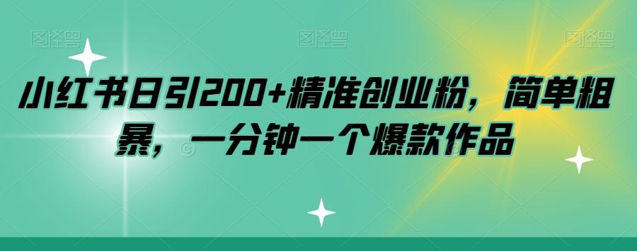 小红书日引200+精准创业粉，简单粗暴，一分钟一个爆款作品【揭秘】-511资料网