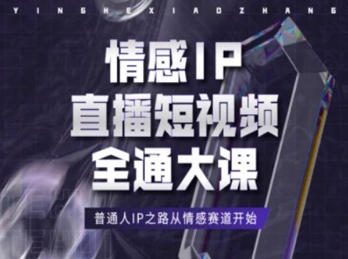 情感IP直播短视频全通大课，普通人IP之路从情感赛道开始-511资料网