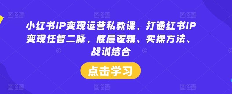 小红书IP变现运营私教课，打通红书IP变现任督二脉，底层逻辑、实操方法、战训结合-511资料网