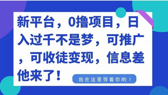 不要再花冤枉钱了，0撸项目，每天坚持，稳定1000+-511资料网