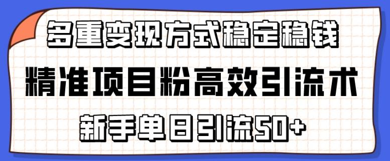 精准项目粉高效引流术，新手单日引流50+，多重变现方式稳定赚钱【揭秘】-511资料网