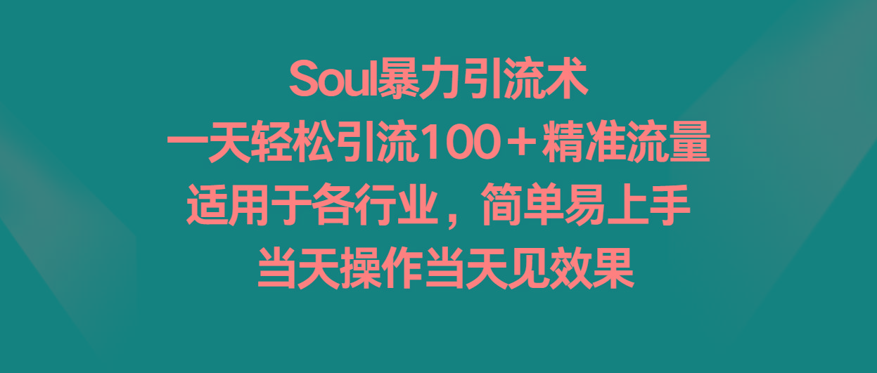 Soul暴力引流术，一天轻松引流100＋精准流量，适用于各行业，简单易上手！-511资料网