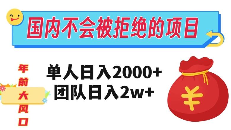 在国内不怕被拒绝的项目，单人日入2000，团队日入20000+【揭秘】-511资料网