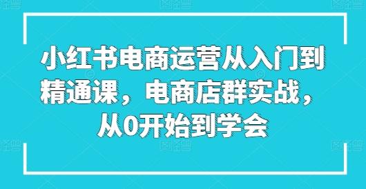 小红书电商运营从入门到精通课，电商店群实战，从0开始到学会-511资料网