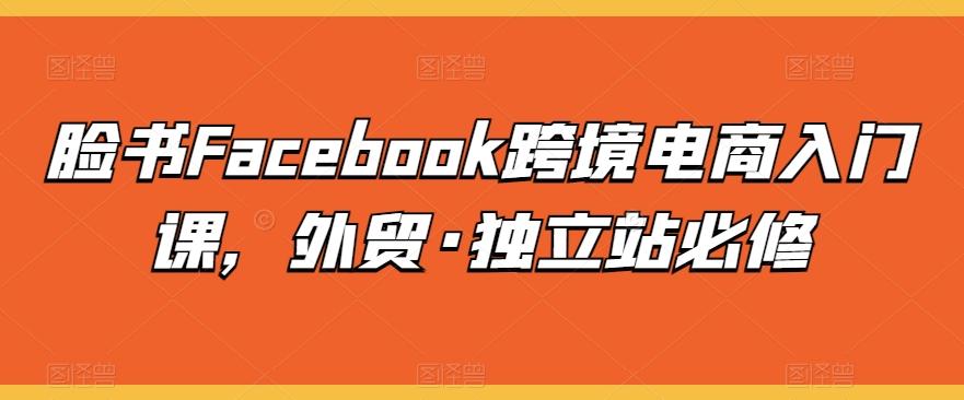 脸书Facebook跨境电商入门课，外贸·独立站必修-511资料网