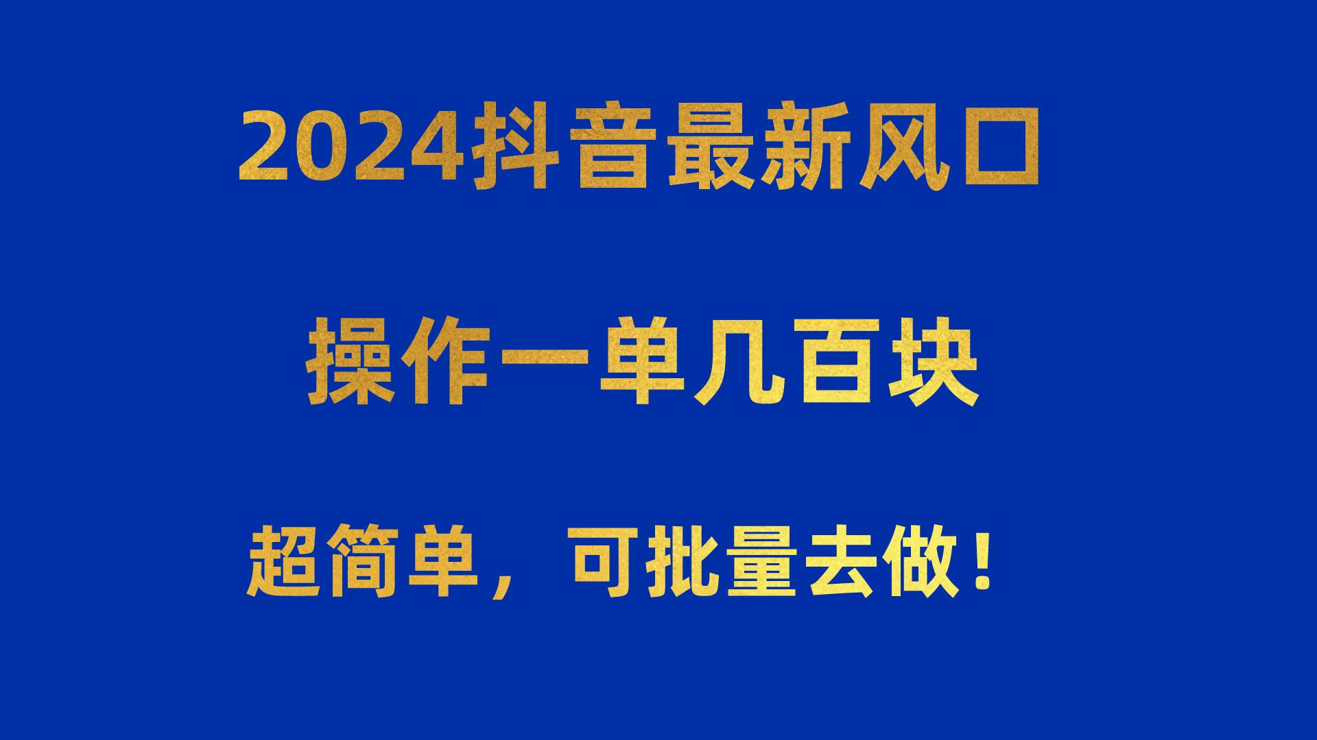 2024抖音最新风口！操作一单几百块！超简单，可批量去做！！！-511资料网