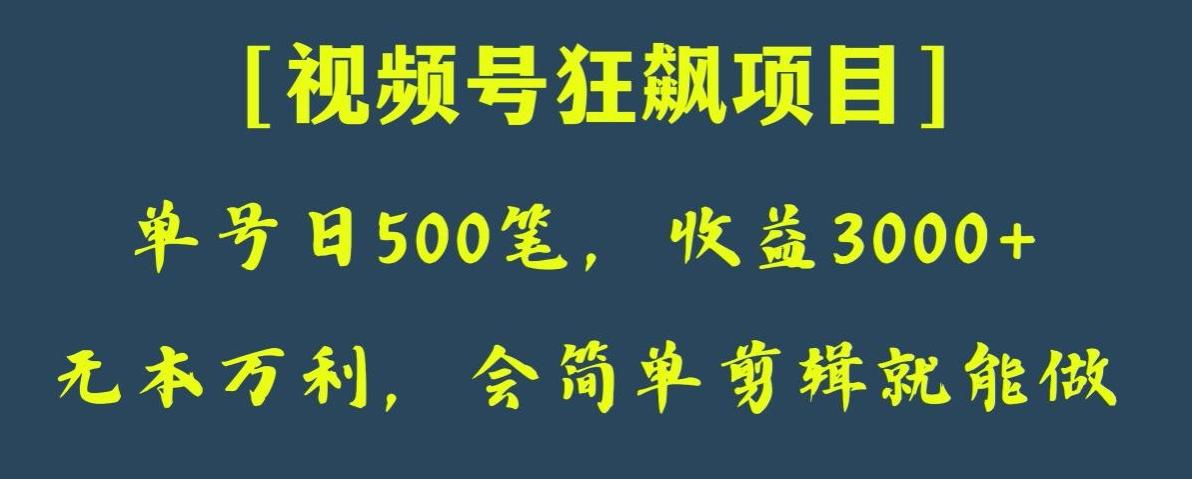日收款500笔，纯利润3000+，视频号狂飙项目，会简单剪辑就能做【揭秘】-511资料网