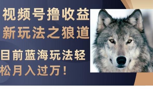 视频号撸收益新玩法之狼道，目前蓝海玩法，轻松月入过万【揭秘】-511资料网