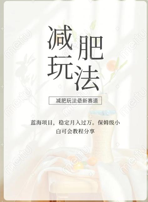 减肥流量主新玩法，轻松月入1W，可矩阵操作收入翻倍-511资料网