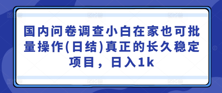 国内问卷调查小白在家也可批量操作(日结)真正的长久稳定项目，日入1k【揭秘】-511资料网