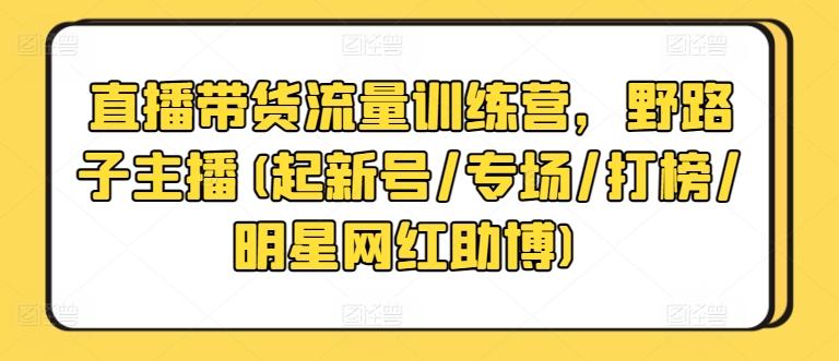 直播带货流量训练营，野路子主播(起新号/专场/打榜/明星网红助博)-511资料网