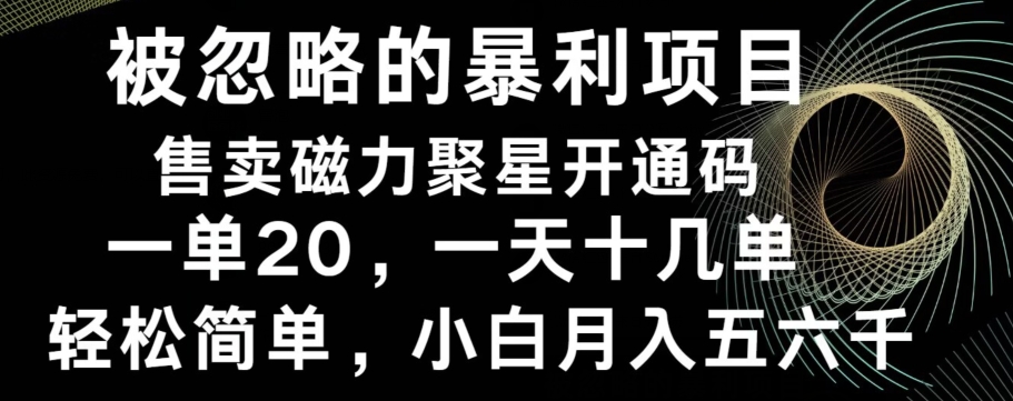 被忽略的暴利项目！售卖磁力聚星开通码，一单20，一天十几单，轻松月入五六千-511资料网
