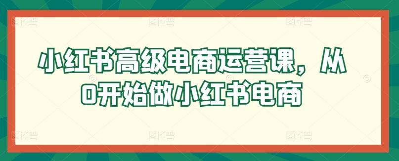 小红书高级电商运营课，从0开始做小红书电商-511资料网