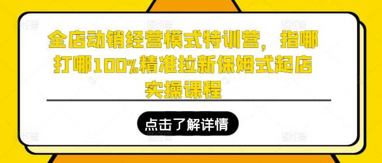 全店动销经营模式特训营，指哪打哪100%精准拉新保姆式起店实操课程-511资料网