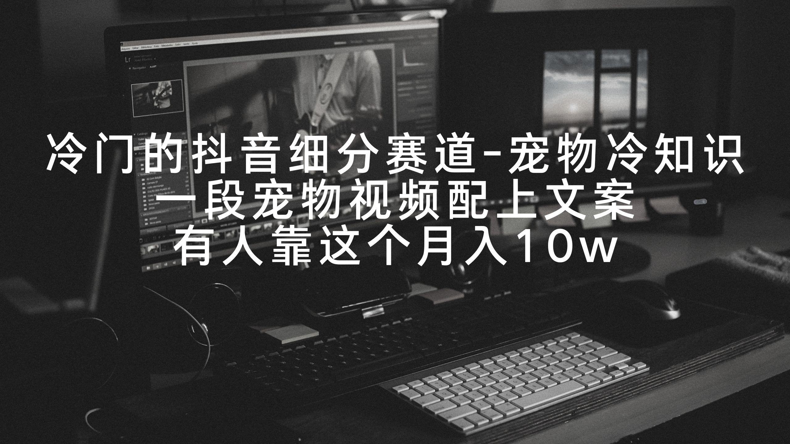 冷门的抖音细分赛道-宠物冷知识，一段宠物视频配上文案，有人靠这个月入10w-511资料网