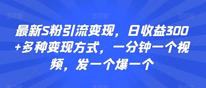 最新S粉引流变现，日收益300+多种变现方式，一分钟一个视频，发一个爆一个【揭秘】-511资料网