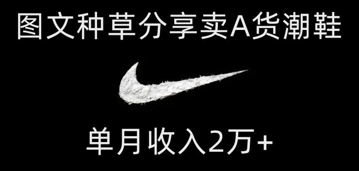 靠图文种草分享卖A货潮鞋，每天一小时，单月收入2万+【揭秘】-511资料网