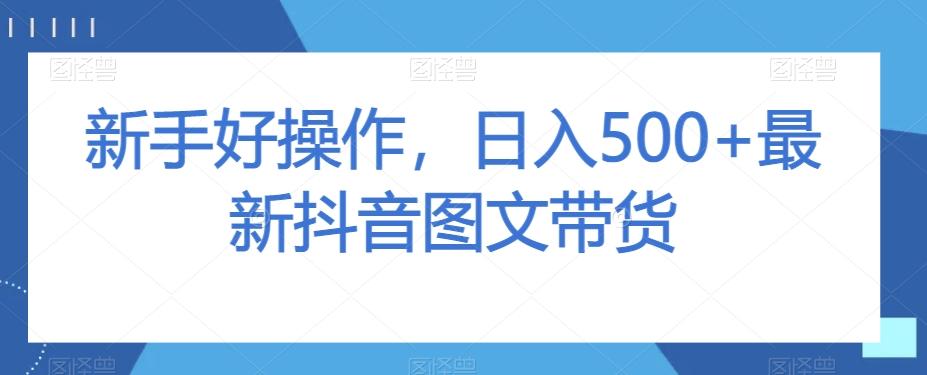 新手好操作，日入500+最新抖音图文带货【揭秘】-511资料网