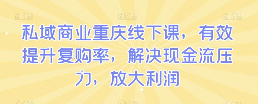 私域商业重庆线下课，有效提升复购率，解决现金流压力，放大利润-511资料网