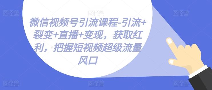 微信视频号引流课程-引流+裂变+直播+变现，获取红利，把握短视频超级流量风口-511资料网