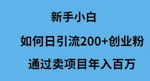 (9668期)新手小白如何日引流200+创业粉通过卖项目年入百万-511资料网