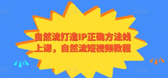 自然流打造IP正确方法线上课，自然流短视频教程-511资料网