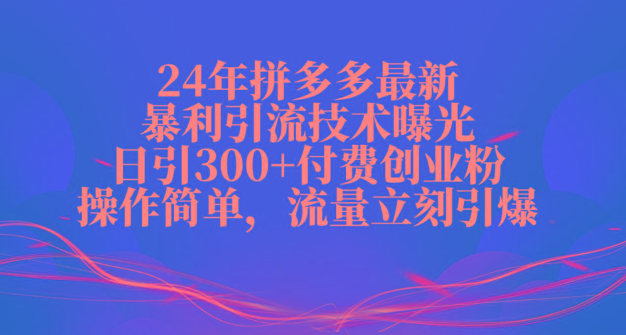 24年拼多多最新暴利引流技术曝光，日引300+付费创业粉，操作简单，流量…-511资料网