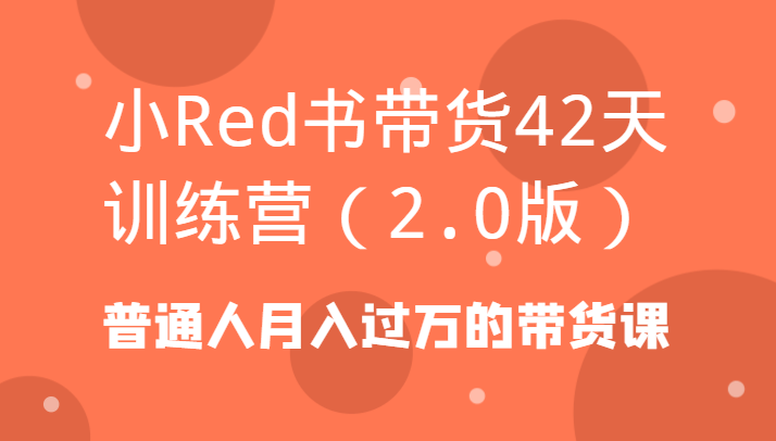 小Red书带货42天训练营(2.0版)普通人月入过万的带货课-511资料网