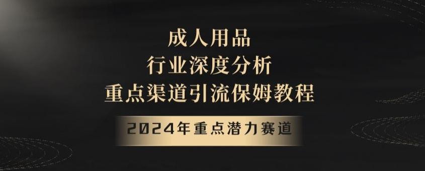 2024年重点潜力赛道，成人用品行业深度分析，重点渠道引流保姆教程【揭秘】-511资料网