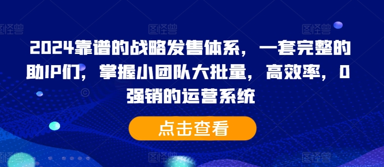 2024靠谱的战略发售体系，一套完整的助IP们，掌握小团队大批量，高效率，0 强销的运营系统-511资料网