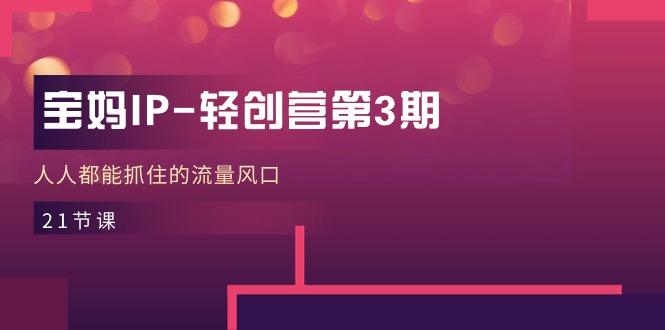 宝妈IP-轻创营第3期，人人都能抓住的流量风口(21节课-511资料网