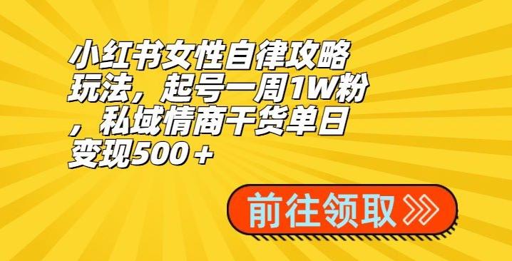 小红书女性自律攻略玩法，起号一周1W粉，私域情商干货单日变现500＋-511资料网