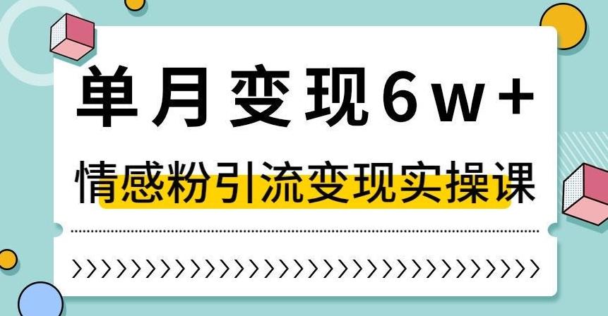 单月变现6W+，抖音情感粉引流变现实操课，小白可做，轻松上手，独家赛道【揭秘】-511资料网