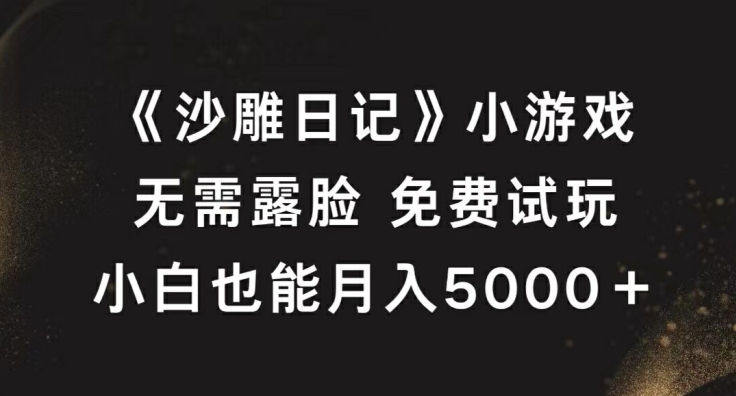 《沙雕日记》小游戏，无需露脸免费试玩，小白也能月入5000+【揭秘】-511资料网