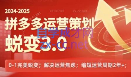 大力老师·2024拼多多运营策略蜕变3.0-511资料网