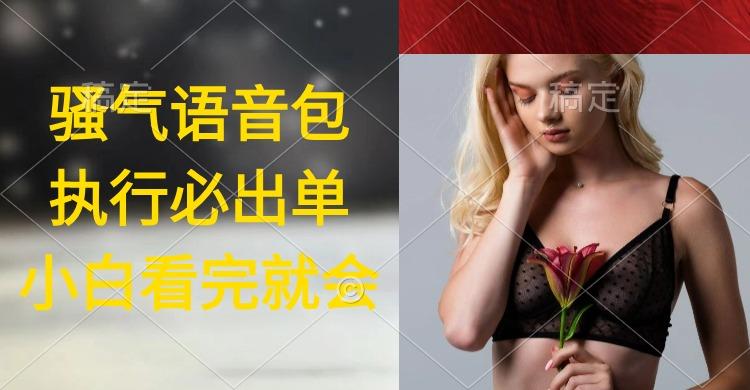 (9589期)执行就出单，日入2000+，超火骚气语音包，小白看完课程就能马上实操-511资料网