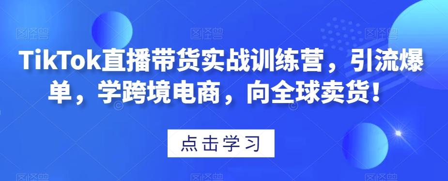TikTok直播带货实战训练营，引流爆单，学跨境电商，向全球卖货！-511资料网