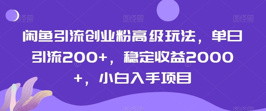 闲鱼引流创业粉高级玩法，单日引流200+，稳定收益2000+，小白入手项目-511资料网