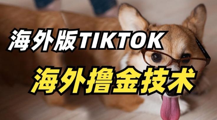 抖音海外版tiktok撸金技术，这个风口行业，赚钱真的不难【揭秘】-511资料网
