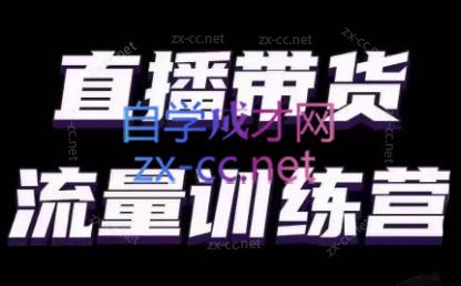 婉婉·直播带货课程系列合集(更新8月)-511资料网