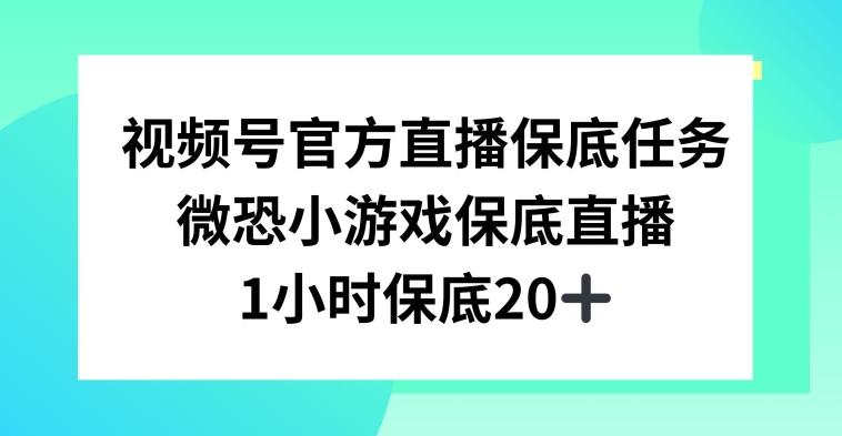 视频号直播任务，微恐小游戏，1小时20+【揭秘】-511资料网