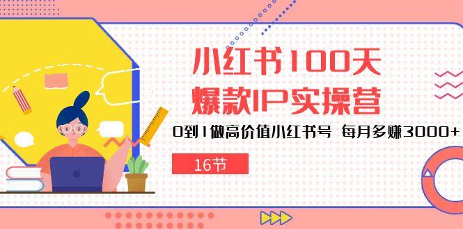 小红书100天-爆款IP实操营，0到1做高价值小红书号 每月多赚3000+(16节-511资料网